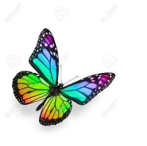 Meet your Posher, Maureen